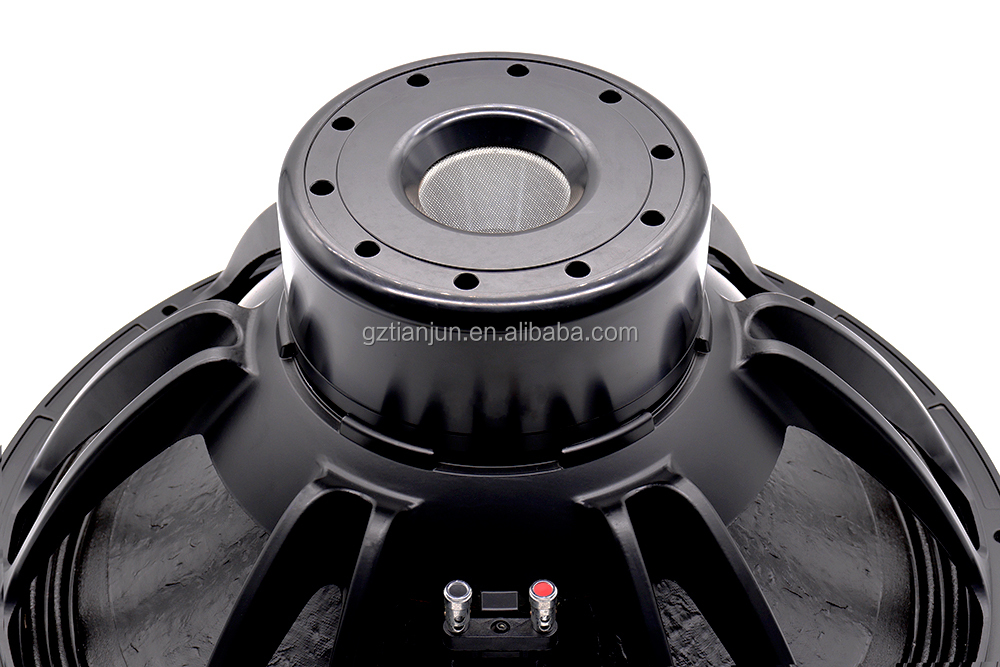 21'' Professional Audio System - Speakers recension och pris
