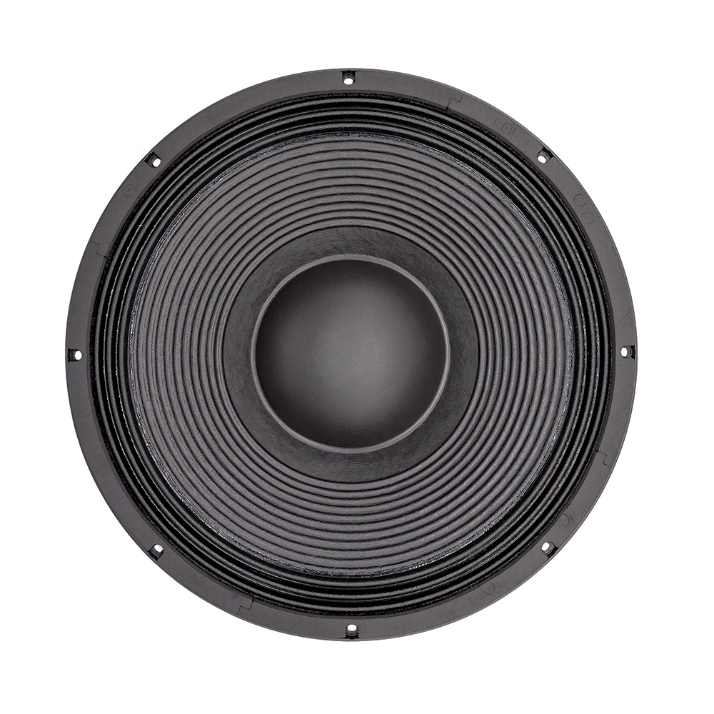 21'' Professional Audio System - Speakers recension och pris